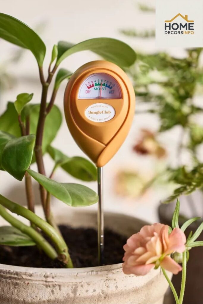 gardening tools for beginners