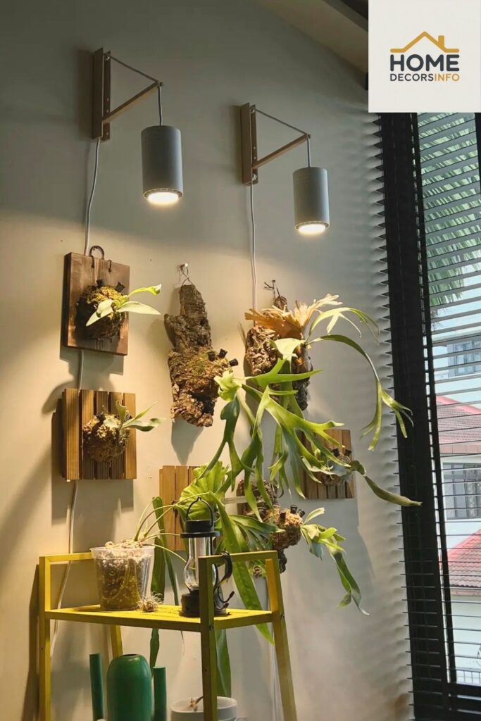 indoor gardening tools