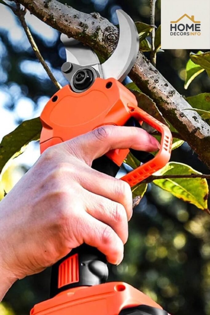 small space gardening items