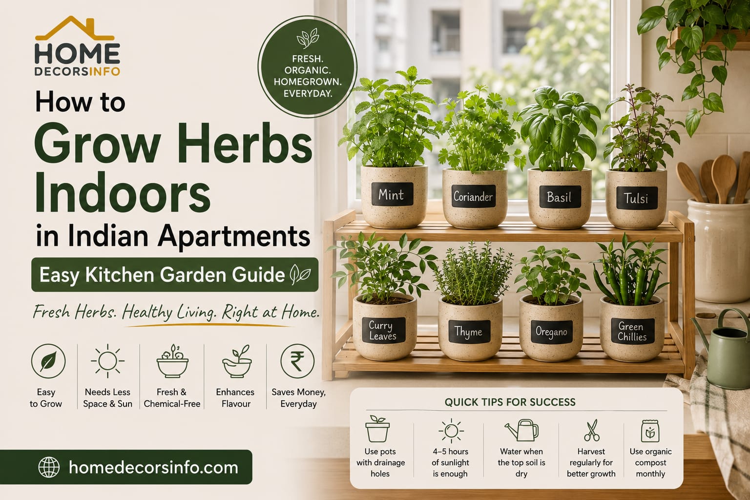 how to grow herbs indoors in Indian apartments